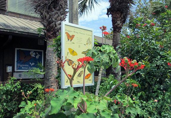 Daggerwing Nature Center