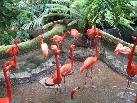 The Dallas World Aquarium