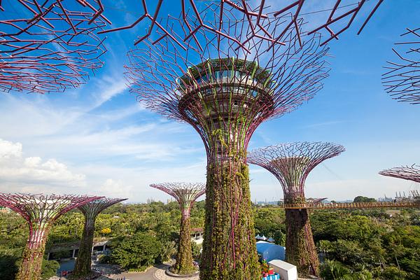 Gardens by the Bay