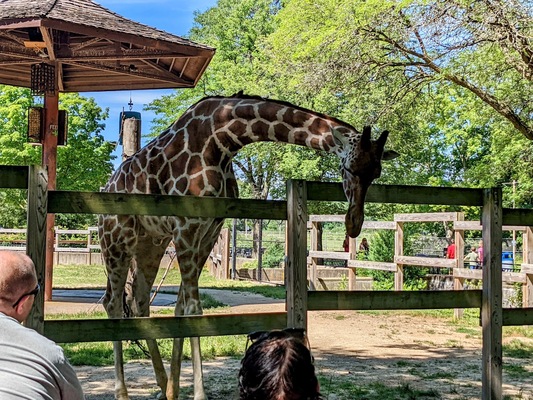 Henry Vilas Zoo