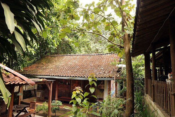 Omah Jegok Homestay