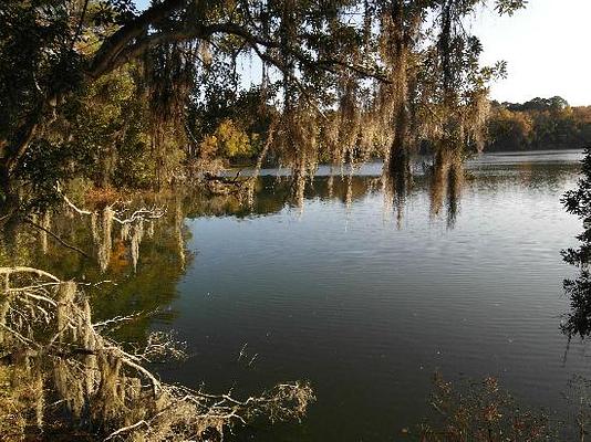 Sea Pines Forest Preserve