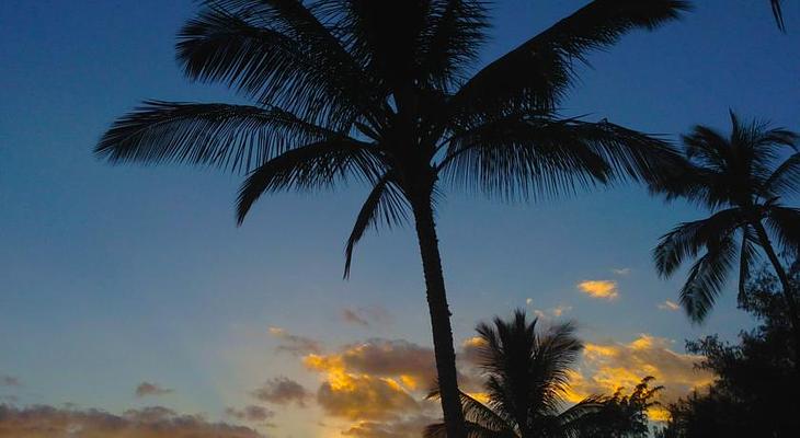 Waimea Plantation Cottages