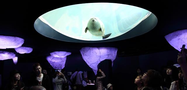 Osaka Aquarium Kaiyukan