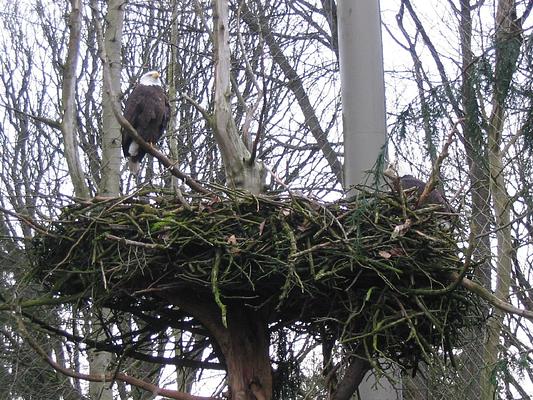 Woodland Park Zoo