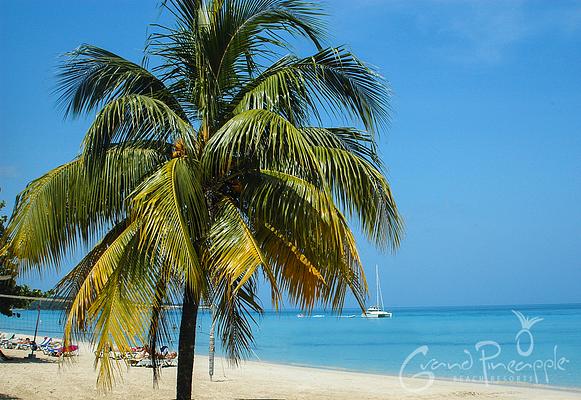 Grand Pineapple Beach Negril