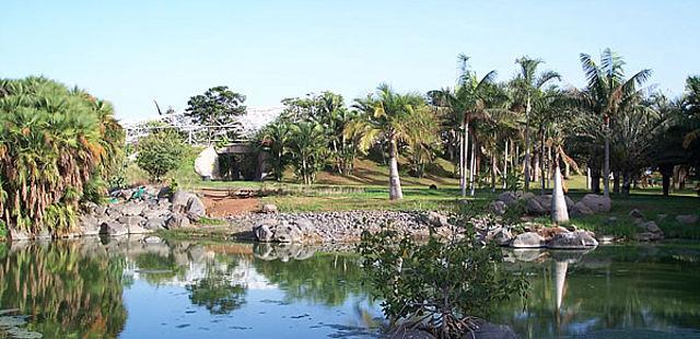 Palmetum Santa Cruz Jardin Botanico