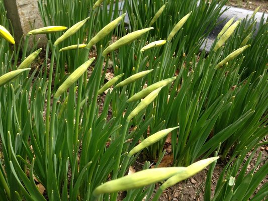 Woods Hole Passage Inn