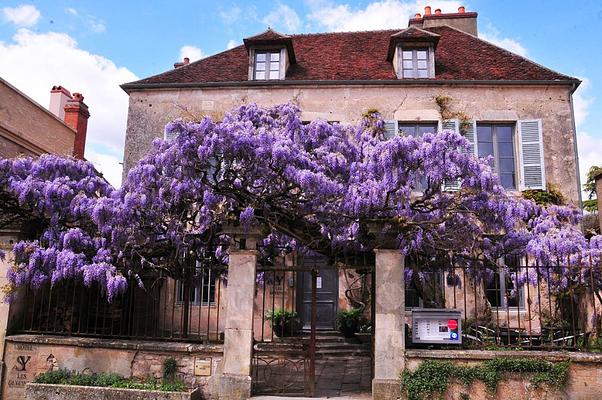 Hotel Les Glycines