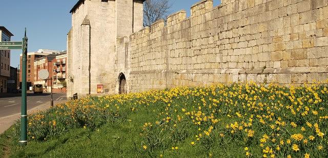 York City Walls