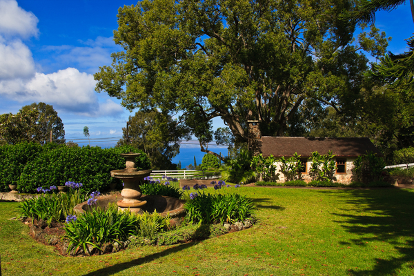 MauiWine