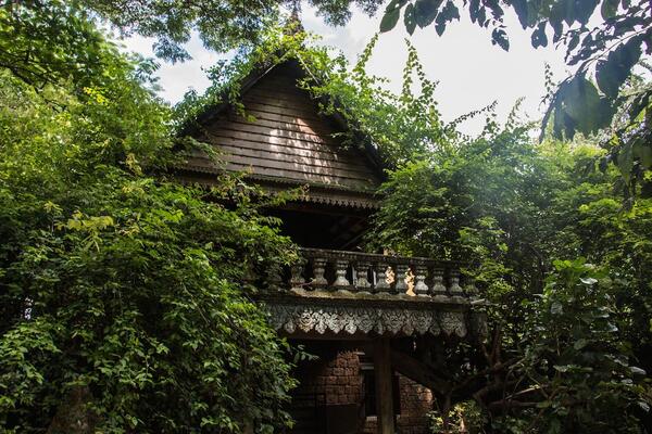 Banyan Tree Kampot