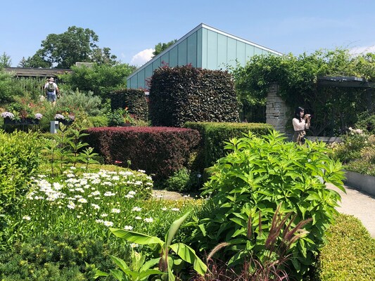 Toronto Botanical Garden