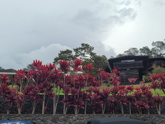 Kula Sandalwoods Inn & Cafe