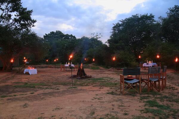 Mahoora Tented Safari Camp Yala