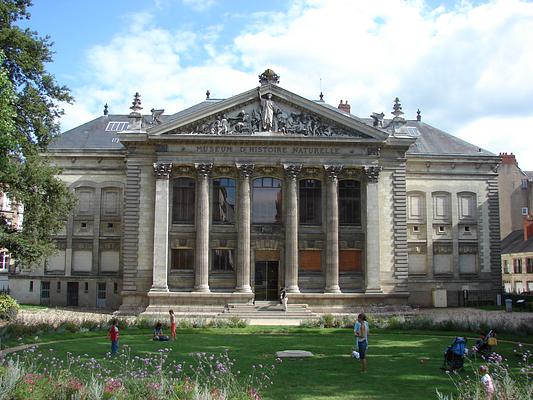 Musee d'histoire naturelle de Nantes