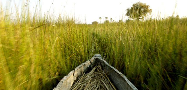 Delta Camp