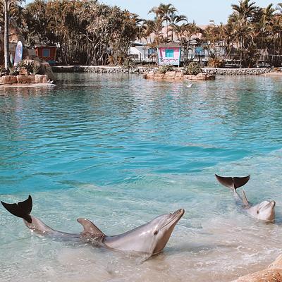 Sea World