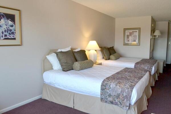 Safari Inn Downtown