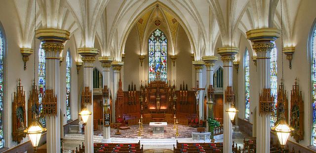 The Cathedral of the Immaculate Conception