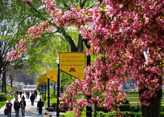 University of Minnesota