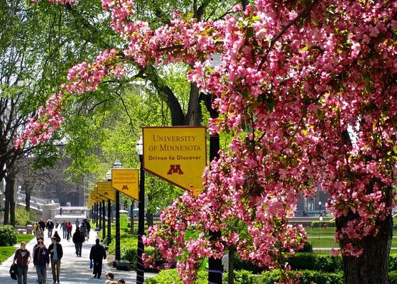 University of Minnesota
