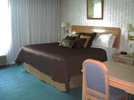 Rodeway Inn Fallsview