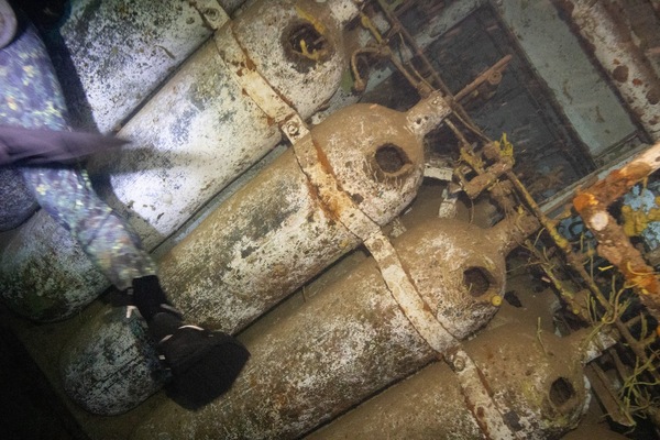 Kittiwake Shipwreck & Artificial Reef