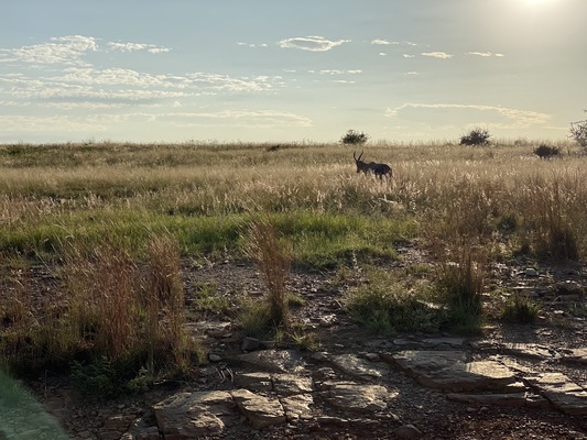 Rietvlei Nature Reserve