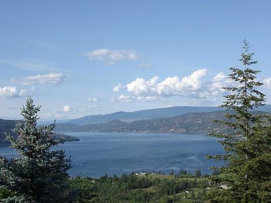 A View of the Lake B & B