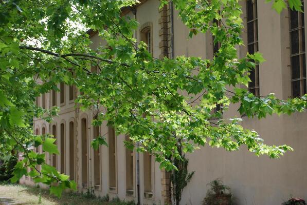 Hotel le Prieure