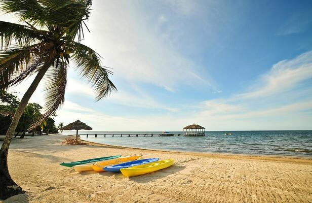 Palmetto Bay Roatan