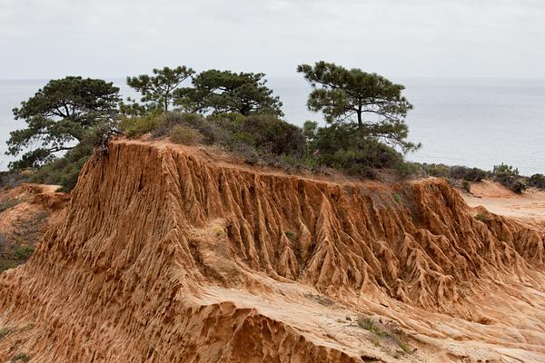 Torrey Pines State Natural Reserve