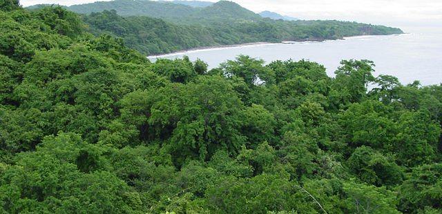 Refugio Nacional Mixto de Vida Silvestre Romelia