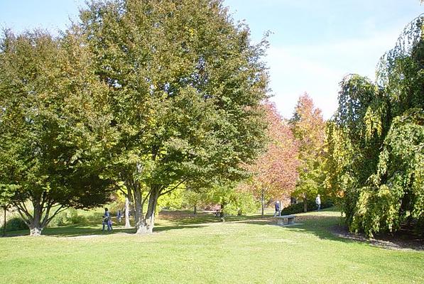 John A. Finch Arboretum