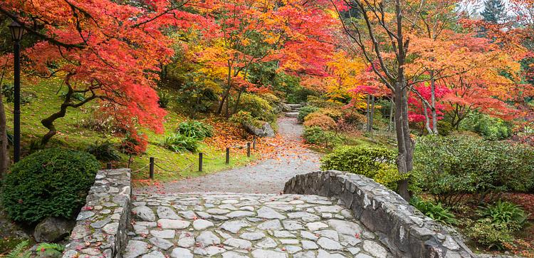 Seattle Japanese Garden