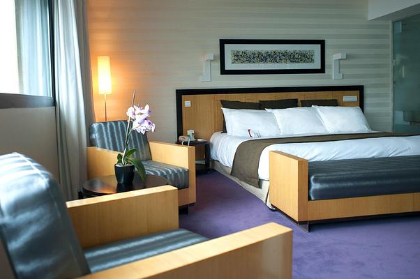 Crowne Plaza Lille - Euralille, an IHG Hotel