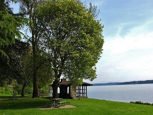 Madrona Park