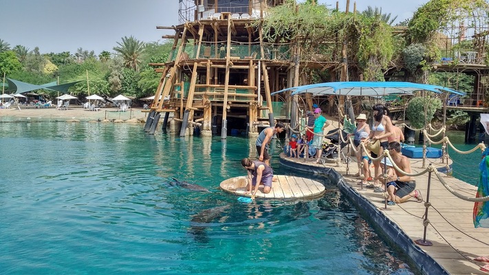 Dolphin Reef
