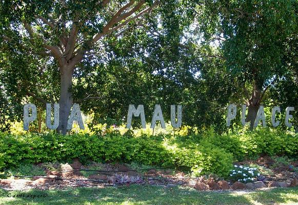 Pua Mau Place Arboretum & Botanical Garden