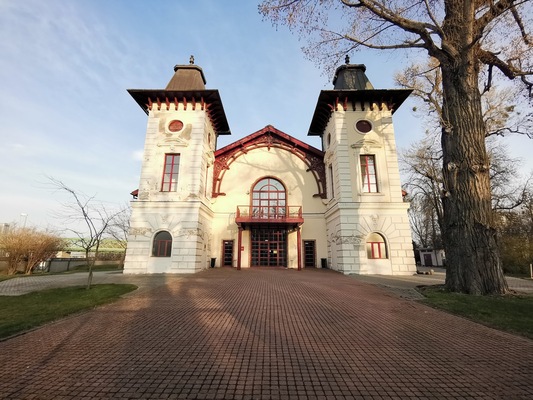 Sad Janka KraLa