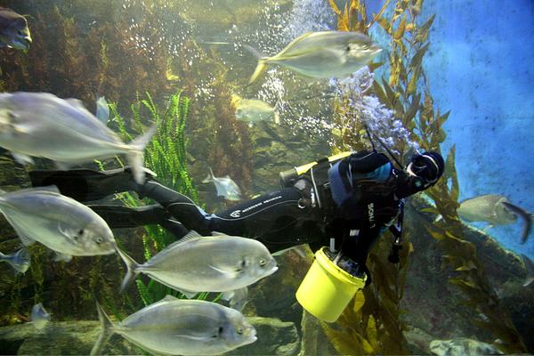 SEA LIFE Melbourne Aquarium