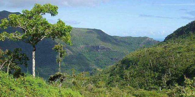 Black River Gorges National Park