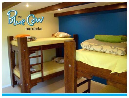 Blue Cow Hostel