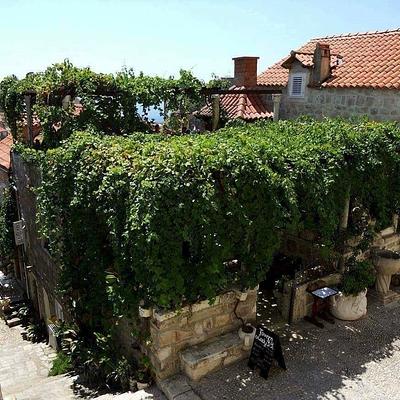 Lady Pi-pi  (dubrovnik)