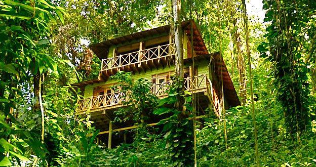 Kanopi House