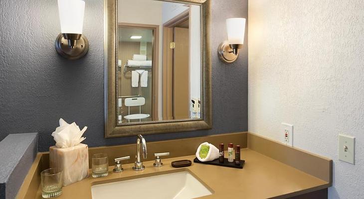 Embassy Suites by Hilton Dallas DFW Airport South