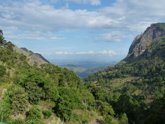 Zion View Ella Green Rereat
