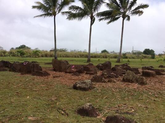 Kukaniloko Birthing Stones