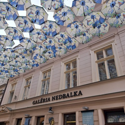 Nedbalka Gallery